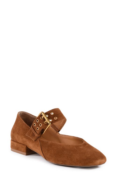 Seychelles Petal Mary Jane Flat In Brown