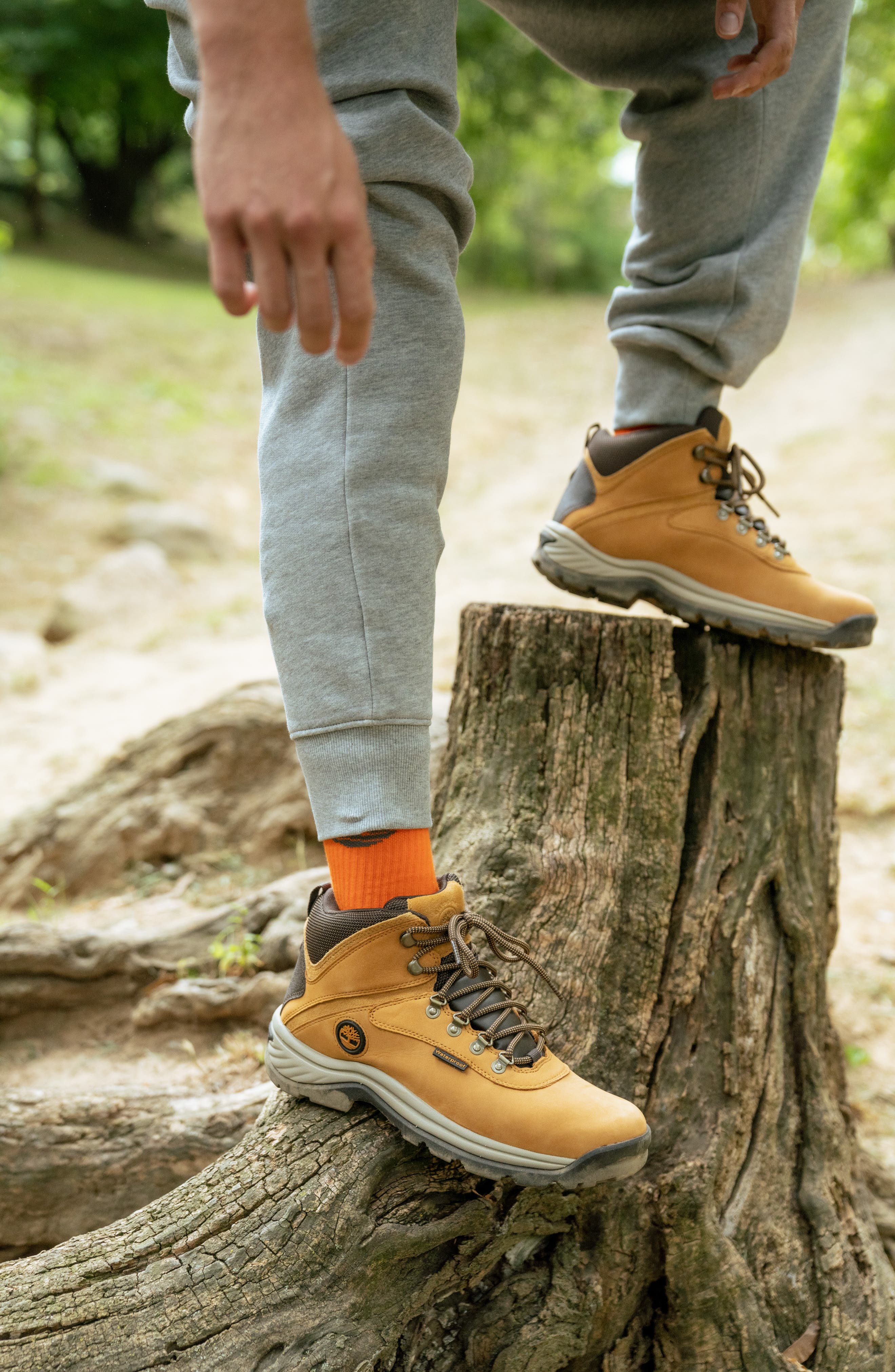 White Ledge Waterproof Hiking Boot, Alternate, color, WHEAT