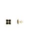 selected Onyx