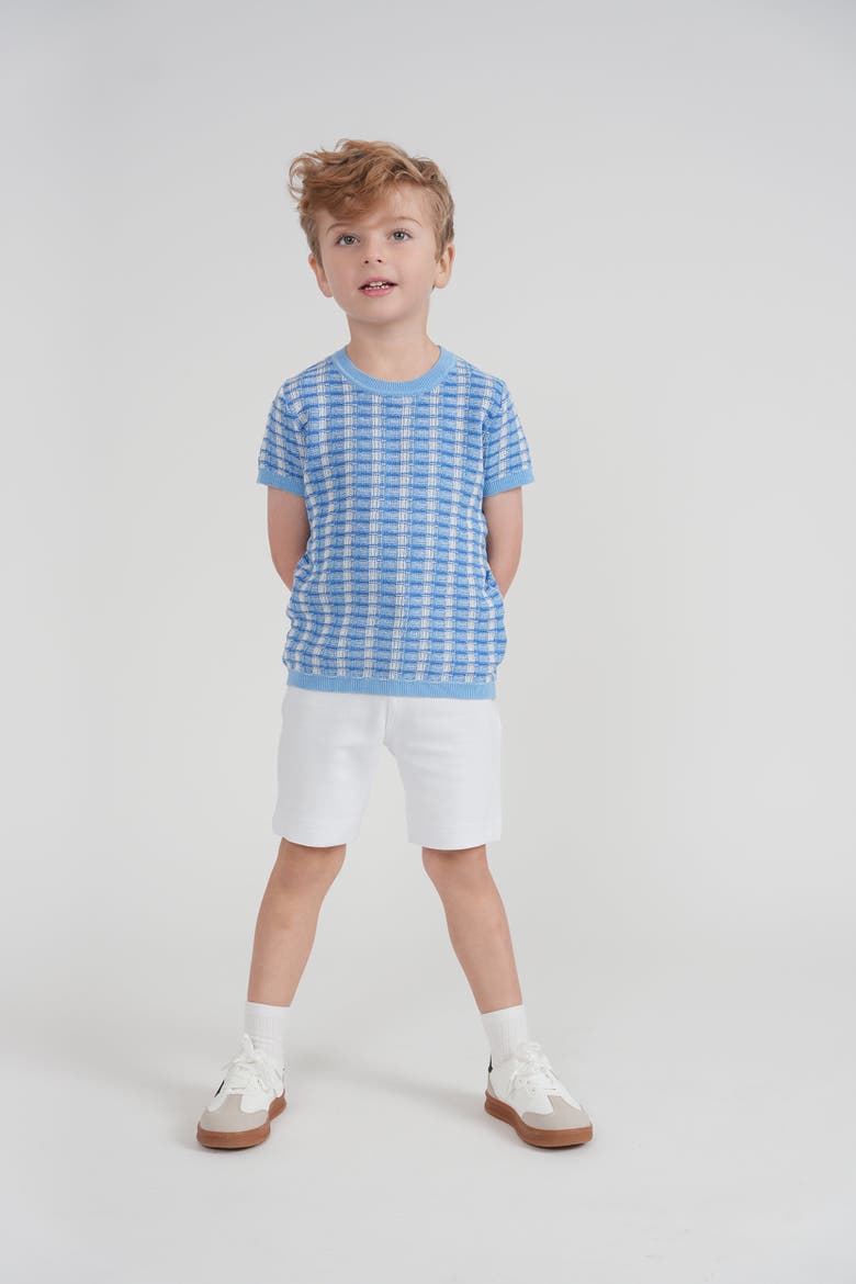 Basket Weave Short Sleeve Knit Sweater, Alternate, color, Light Blue