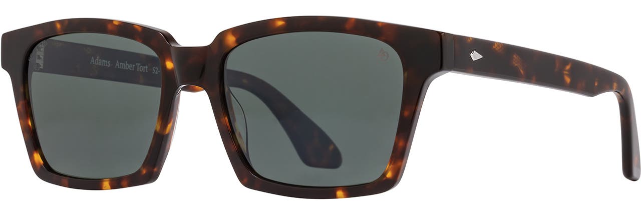 Amber Tortoise - GNN-P