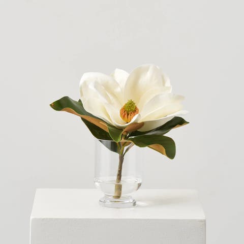Magnolia Bloom in Small Round Footed Vase