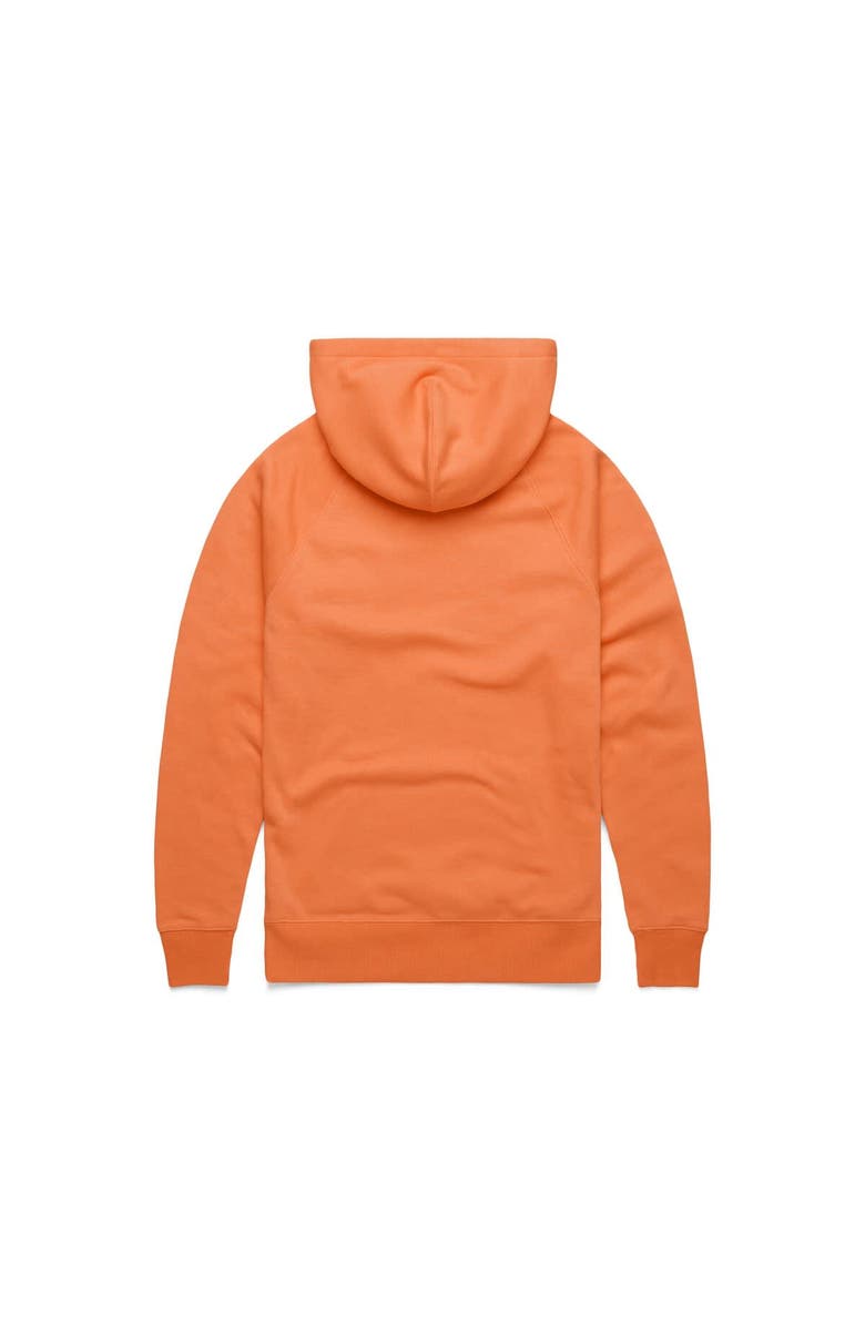 Homage Unisex Homage Orange Detroit Pistons Hometown Edition Tri-Blend Raglan Pullover Hoodie, Alternate, color, 