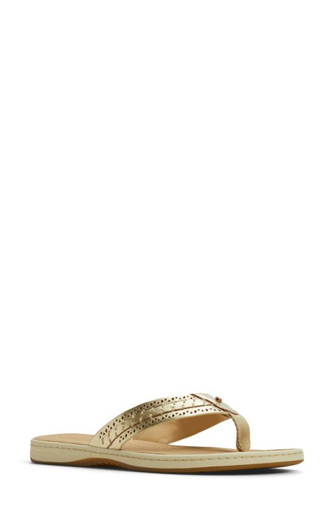 Seafish 3 Perforated Flip Flop (Women)