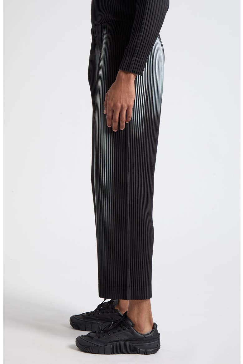 In the Shadow Pleated Trousers, Alternate, color, SHADOW BLACK