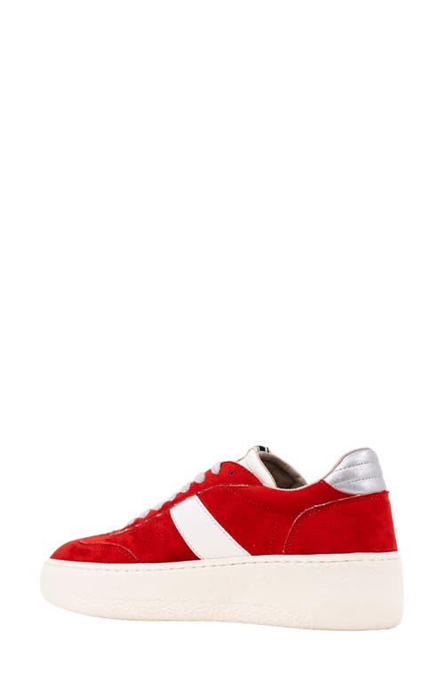 Shushop Stacey Platform Sneaker