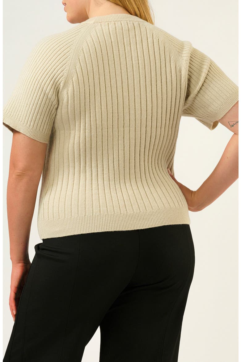 Sera Raglan Sleeve Rib Sweater, Alternate, color, OAT