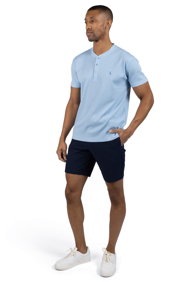 Henley Sleek T-Shirt, Alternate, color, BLUE