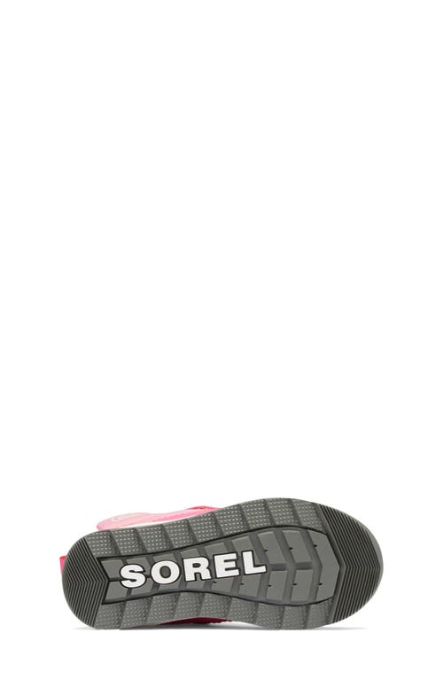 Sorel Unisex Whitney Ii Plus Waterproof Booties - Toddler, Little Kid In Blooming Pink/nico