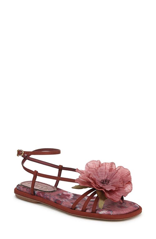 Circus Ny By Sam Edelman Olana Flower Strappy Flat Sandals In Spiced Merlot Multi