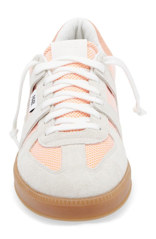 P448 Monza Low Top Sneaker In Multi