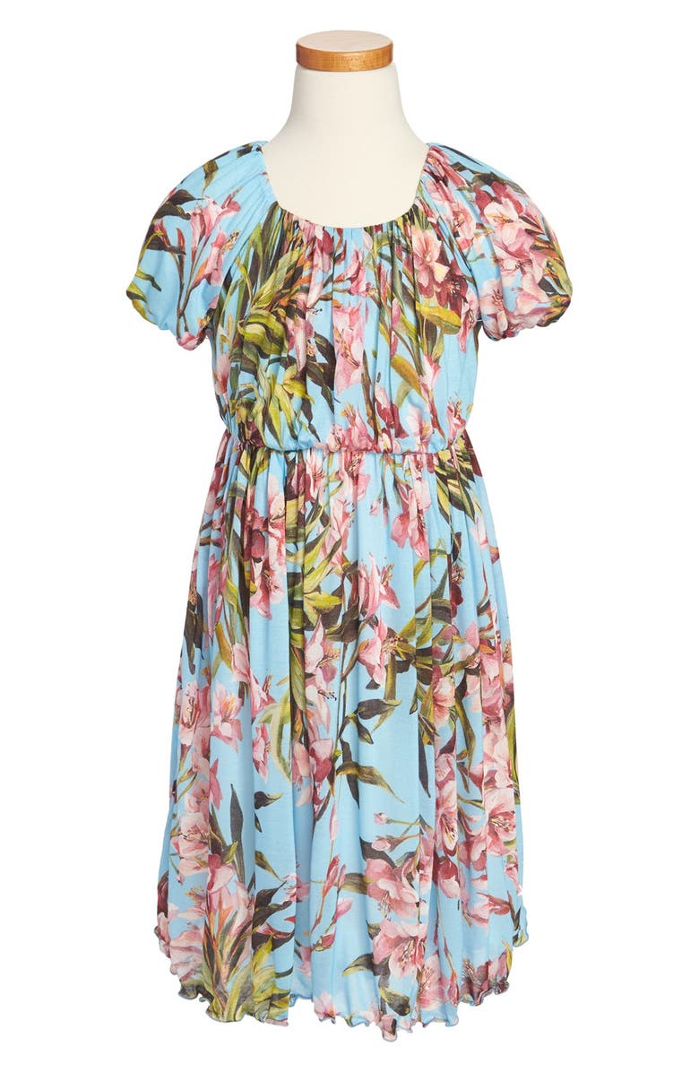 Dolce&Gabbana Floral Print Dress, Main, color, 