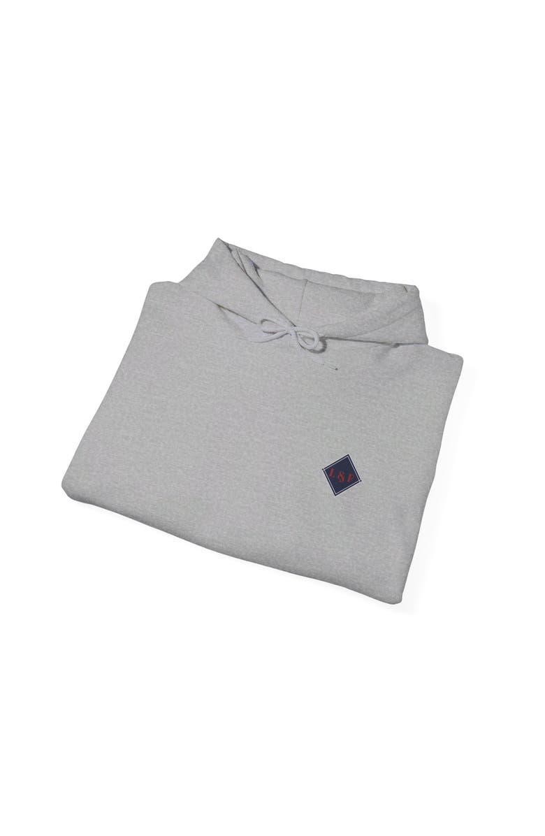Ledger & Ford Retro Hoodie, Alternate, color, Light Grey