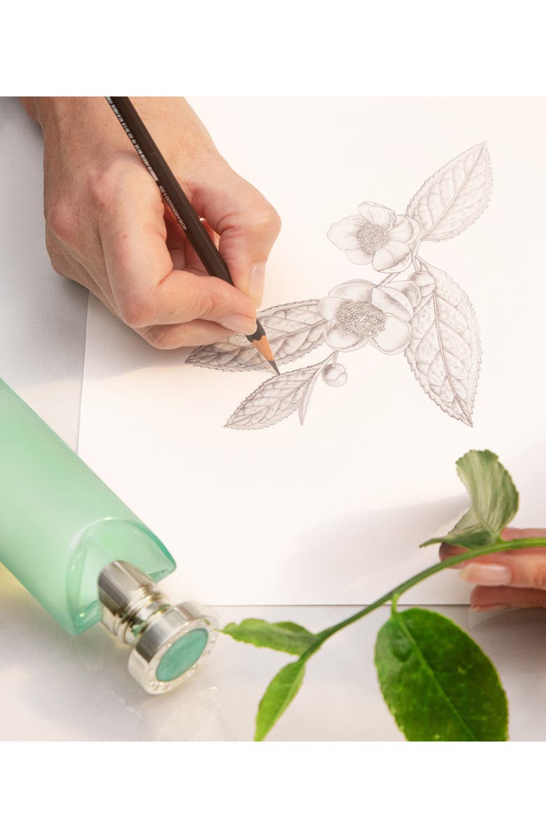 BVLGARI Eau Parfumée thé Vert Eau de Toilette, Alternate, color, 