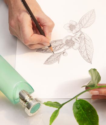 Eau Parfumée Thé Vert Eau de Toilette