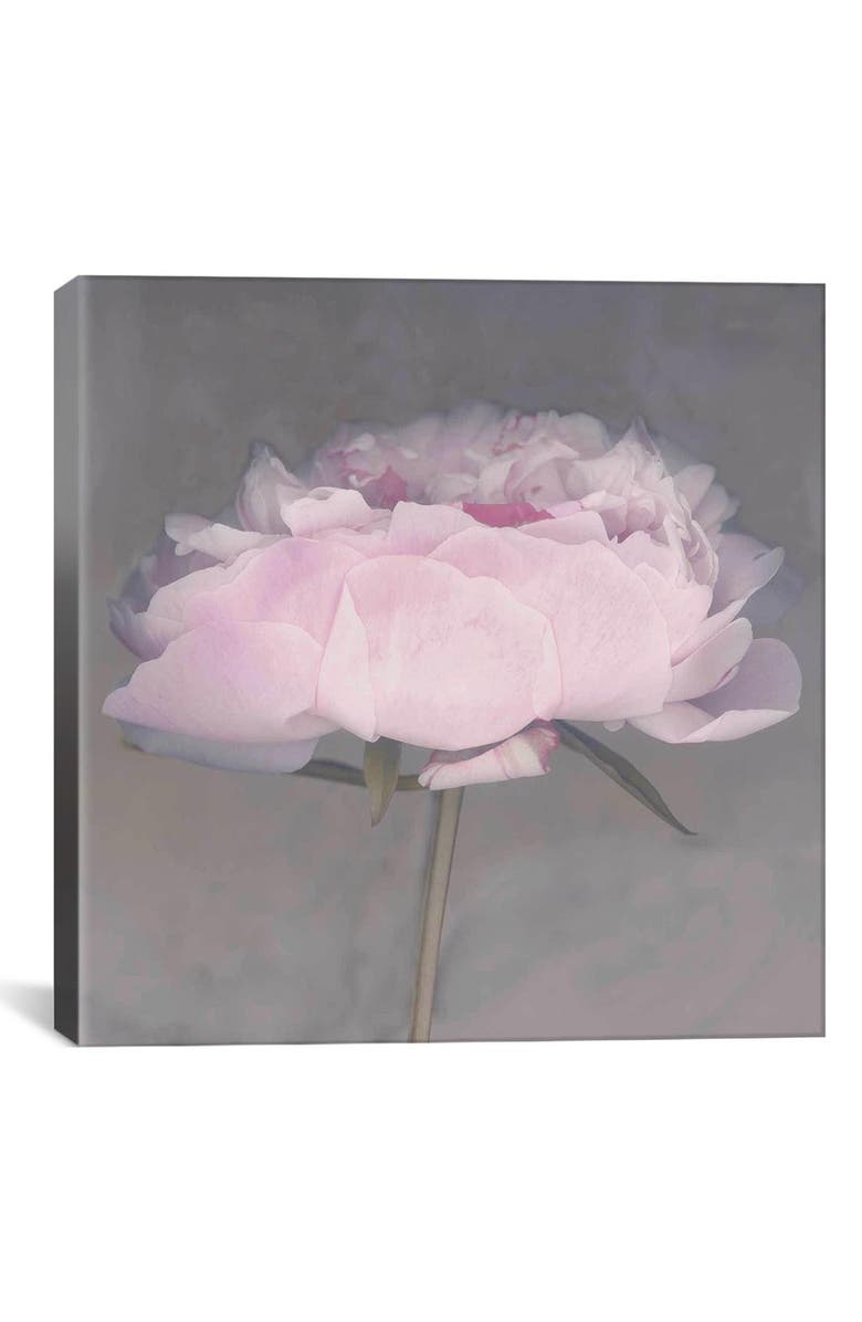 iCanvas 'Jolie - Erin Clark' Giclée Print Canvas Art, Main, color, 