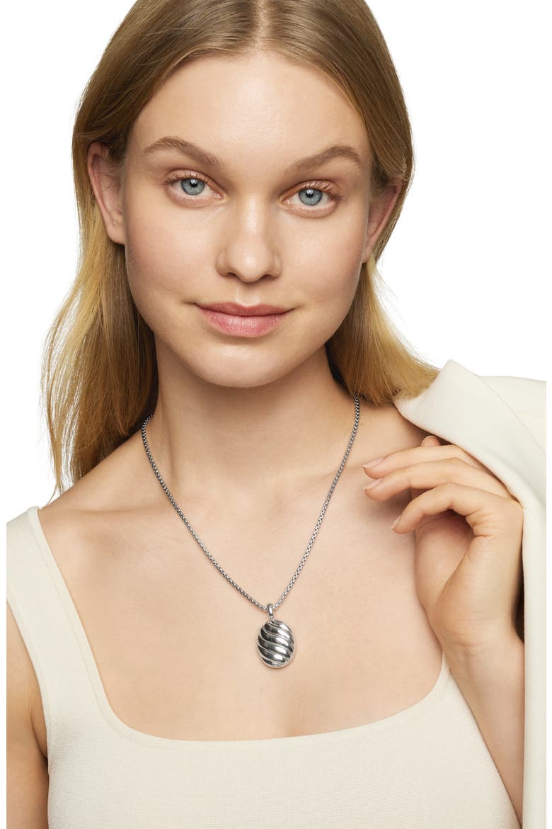 Sculpted Cable Coin Pendant, Alternate, color, STERLING SILVER