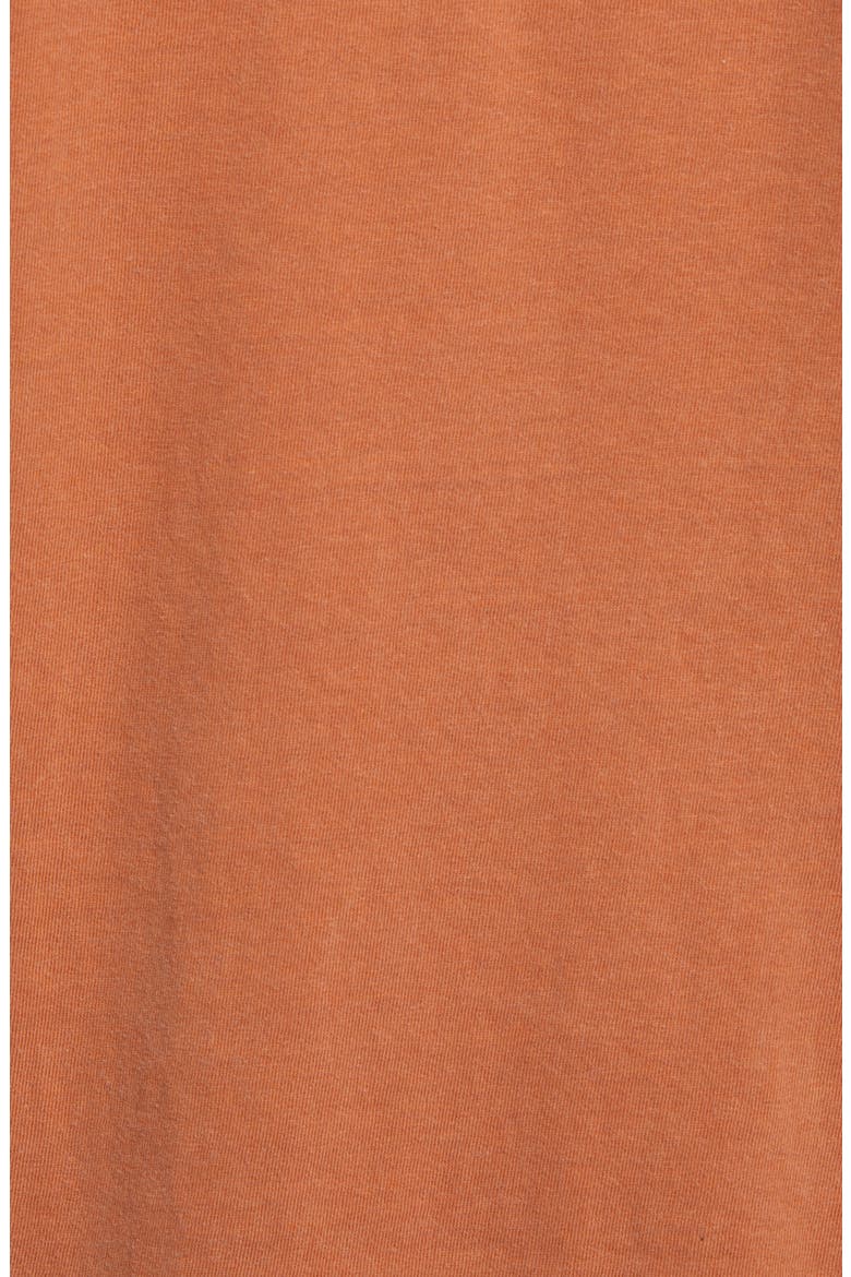 National Parks of Texas Long Sleeve Graphic Tee, Alternate, color, RUS