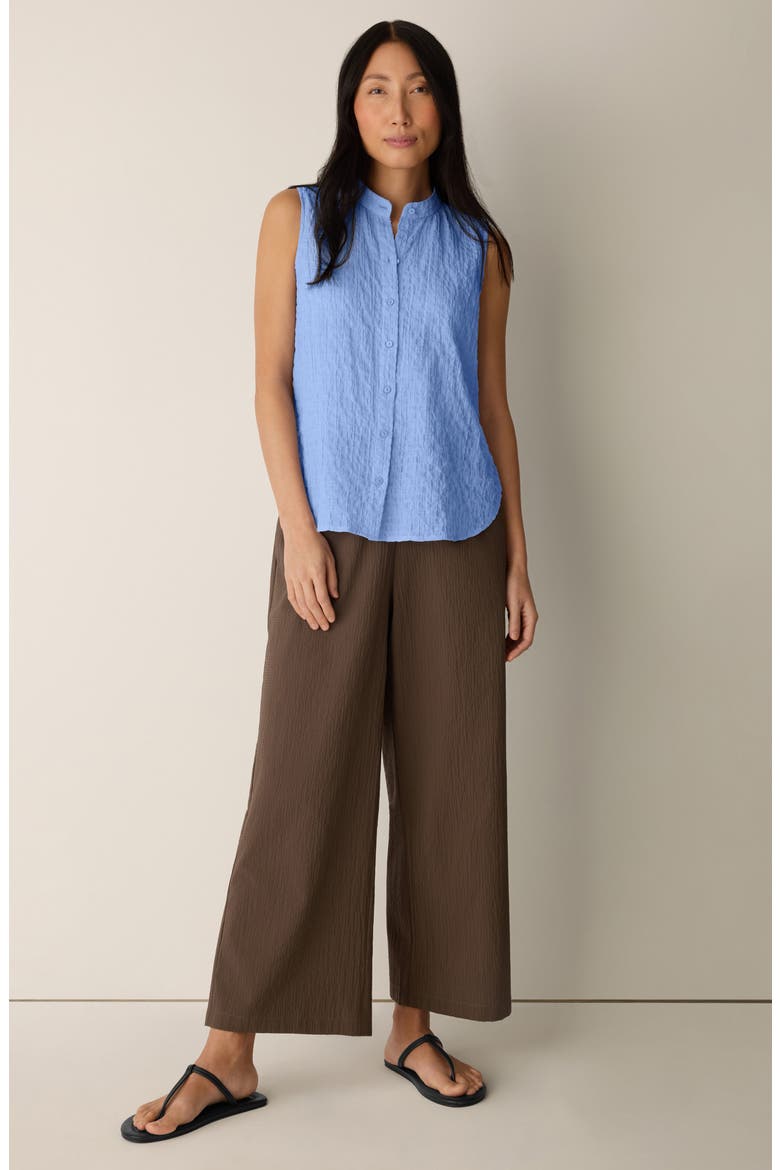 Mandarin Collar Sleeveless Button-Up Shirt, Alternate, color, CORNFLOWER