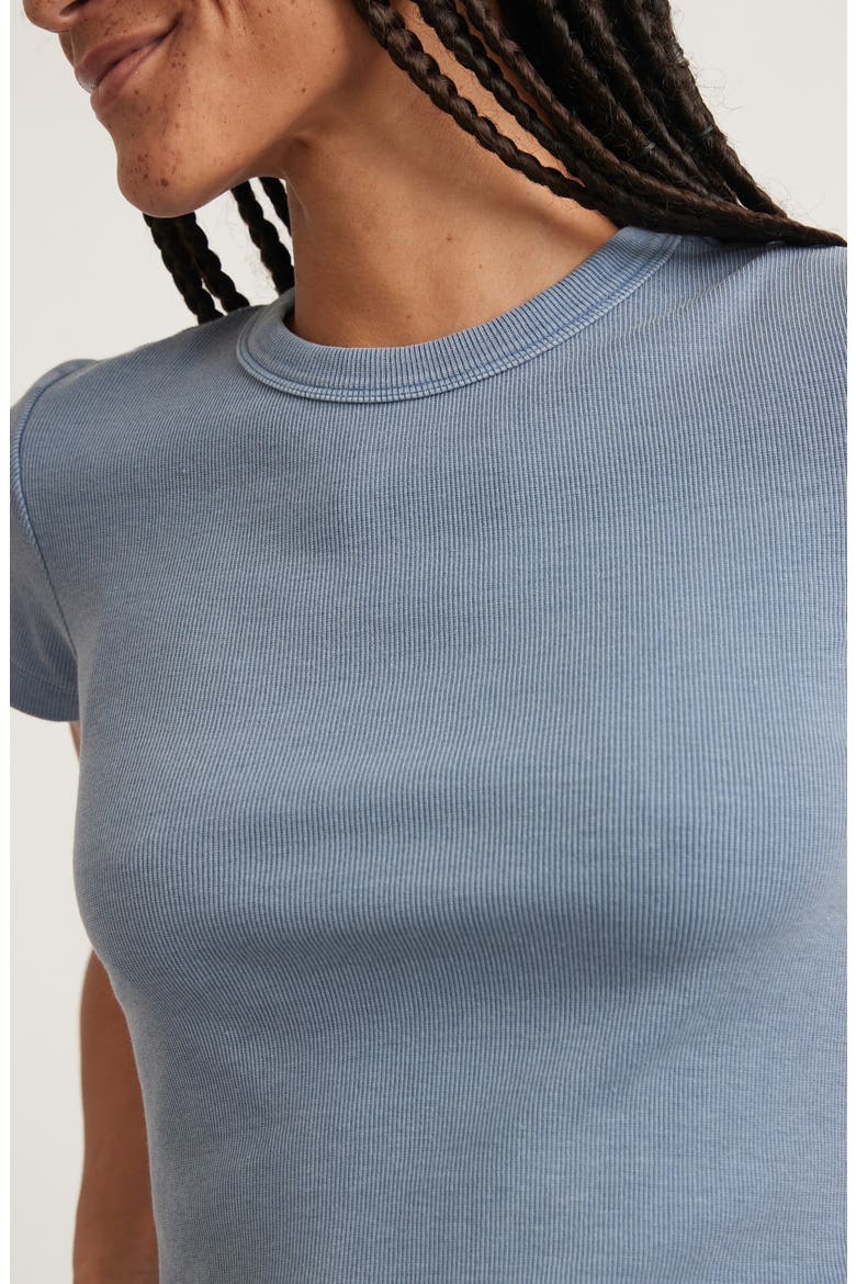 Lexi Sun-In Crewneck Rib T-Shirt, Alternate, color, GRAPHITE