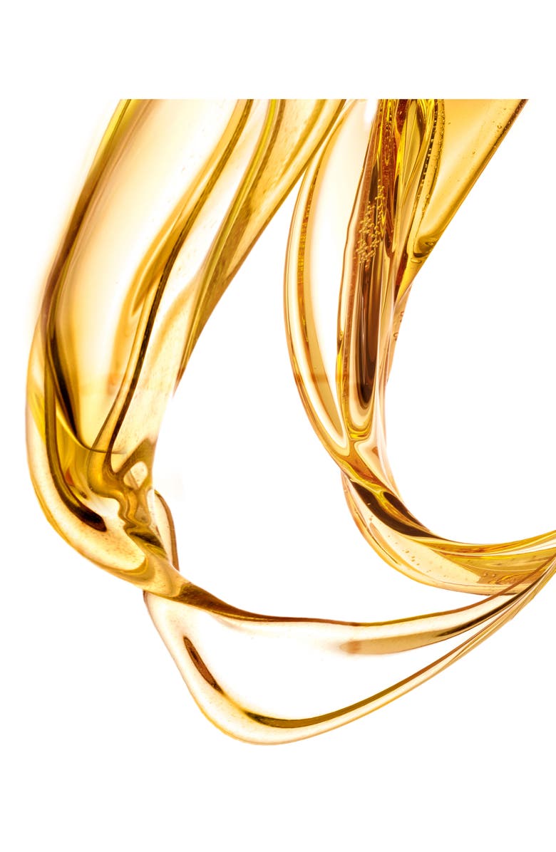 Leonor Greyl PARIS Huile Secret de Beauté Hair & Skin Oil, Alternate, color,