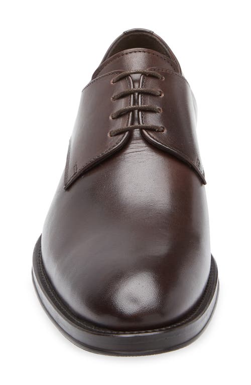 Bruno Magli Cilo Leather Derby In Dark Brown