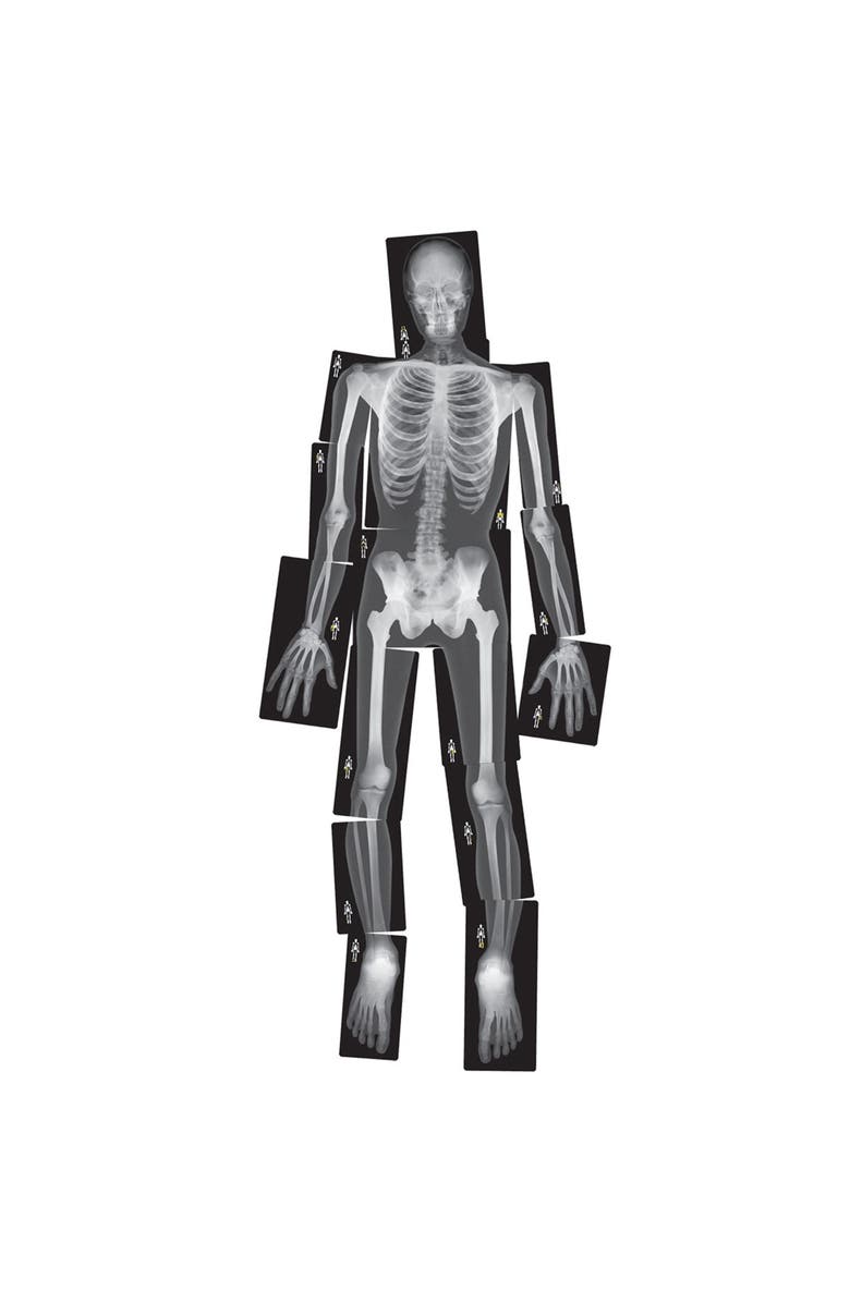 Roylco Human X-Rays on Film, Main, color, Multicolor