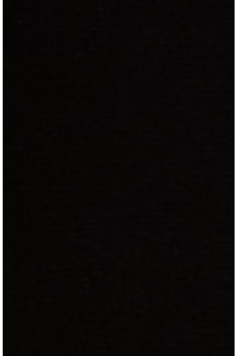 High Waist Wide Leg Pull On Pants, Alternate, color, ANNE BLACK