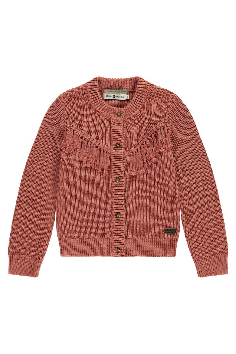 Tassel Accent Knit Cardigan, Main, color, Canyon