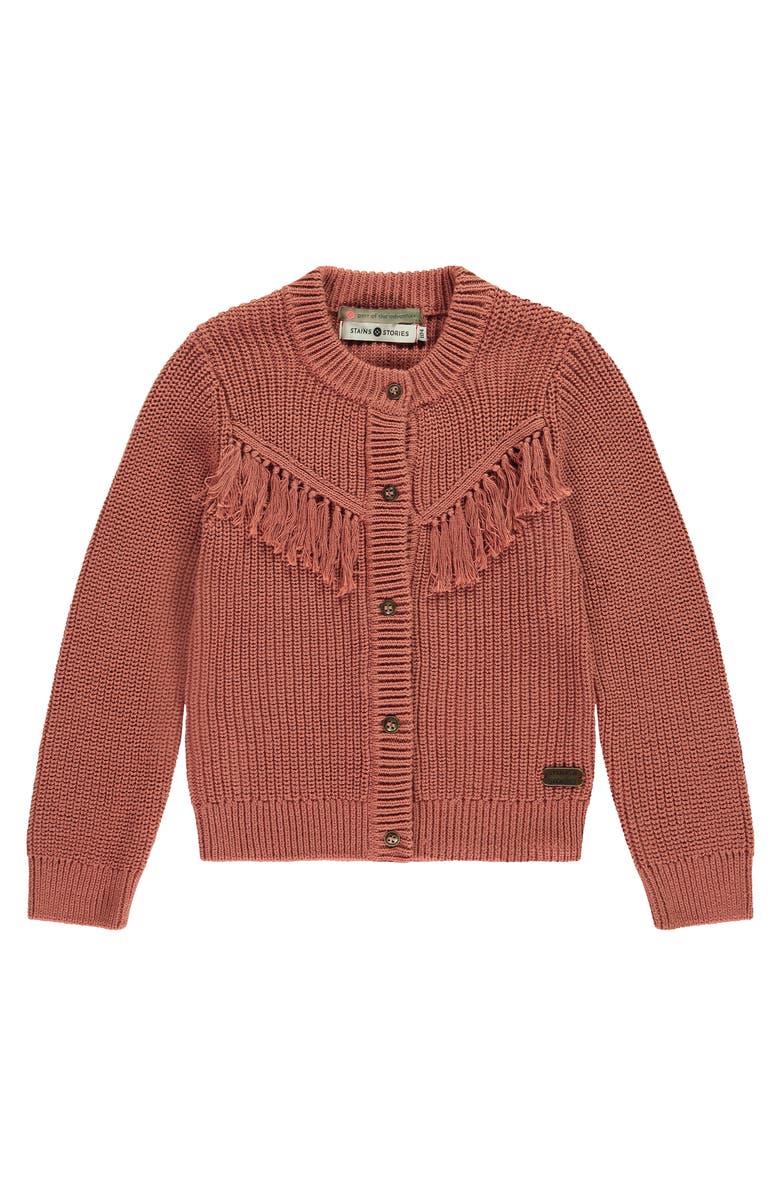 Stains and Stories by Babyface Tassel Accent Knit Cardigan, Main, color, Canyon