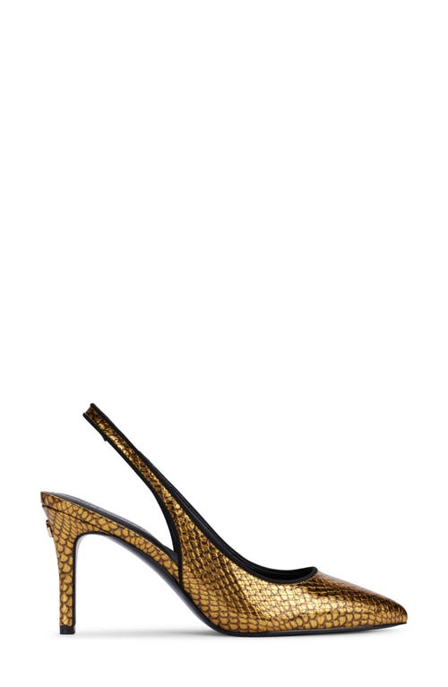Shop Karl Lagerfeld Paris Rosalyn Slingback Pointed Toe Pump In Gold/black