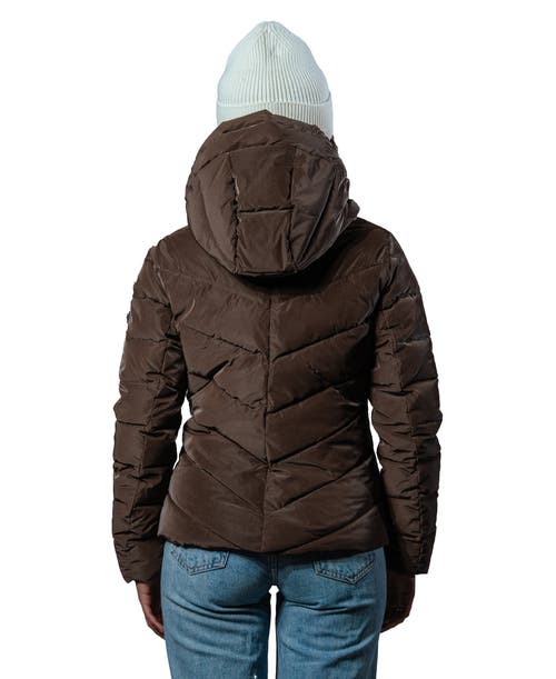 Woodpecker Robin Medium Weight Coat In Brown