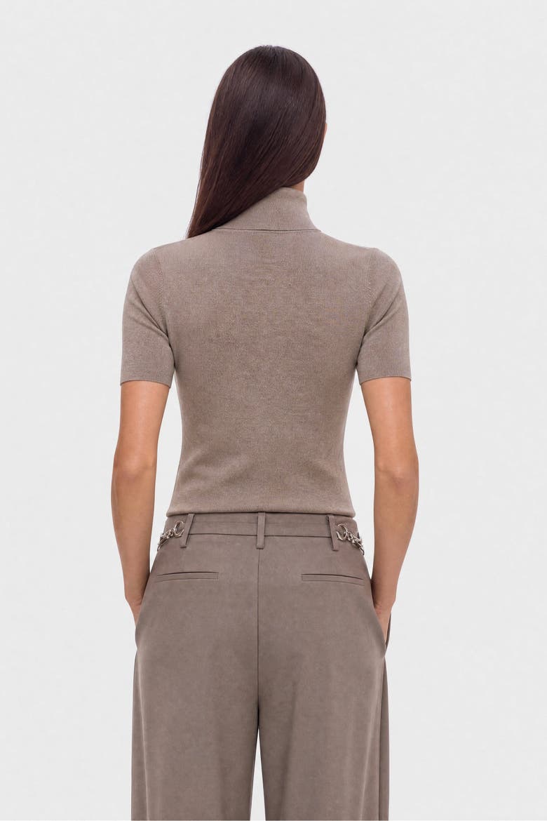 Pleated Barrel Leg Trousers, Alternate, color, Brown