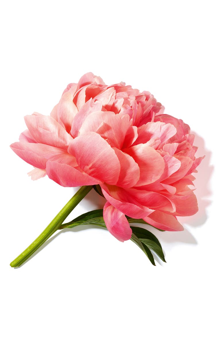 Lancôme La Vie est Belle en Rose Eau de Toilette, Alternate, color, 