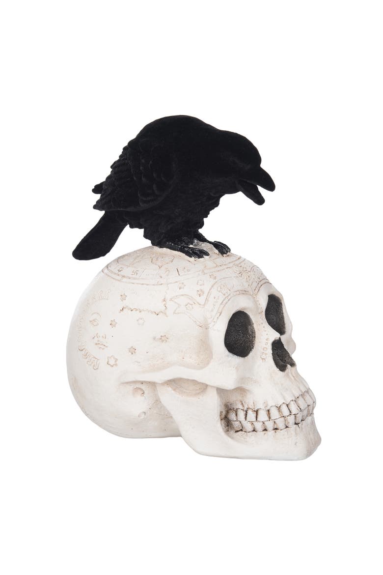 Skeleton Skull & Crow Decorative Halloween 8.5" Figurine, Main, color, White