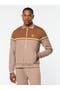 selected Taupe Grey