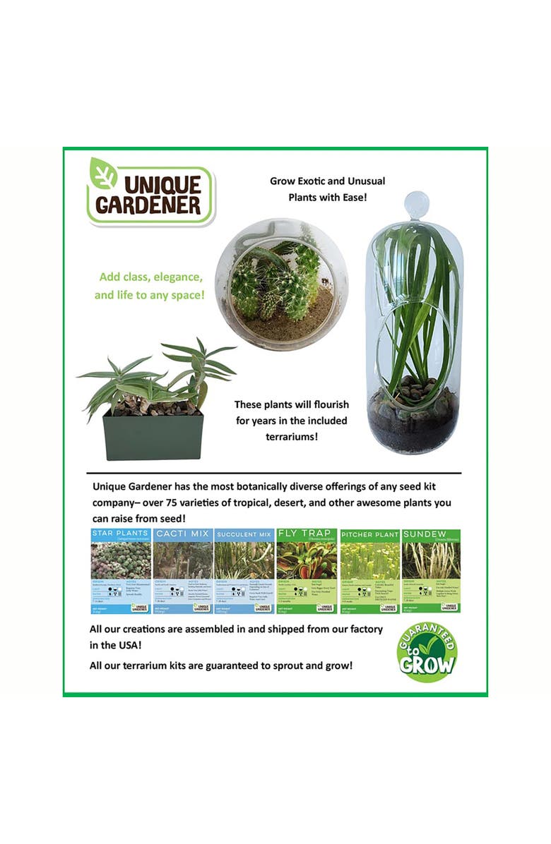 Unique Gardener Culinary Herb Collection Biosphere Terrarium, Alternate, color, Clear