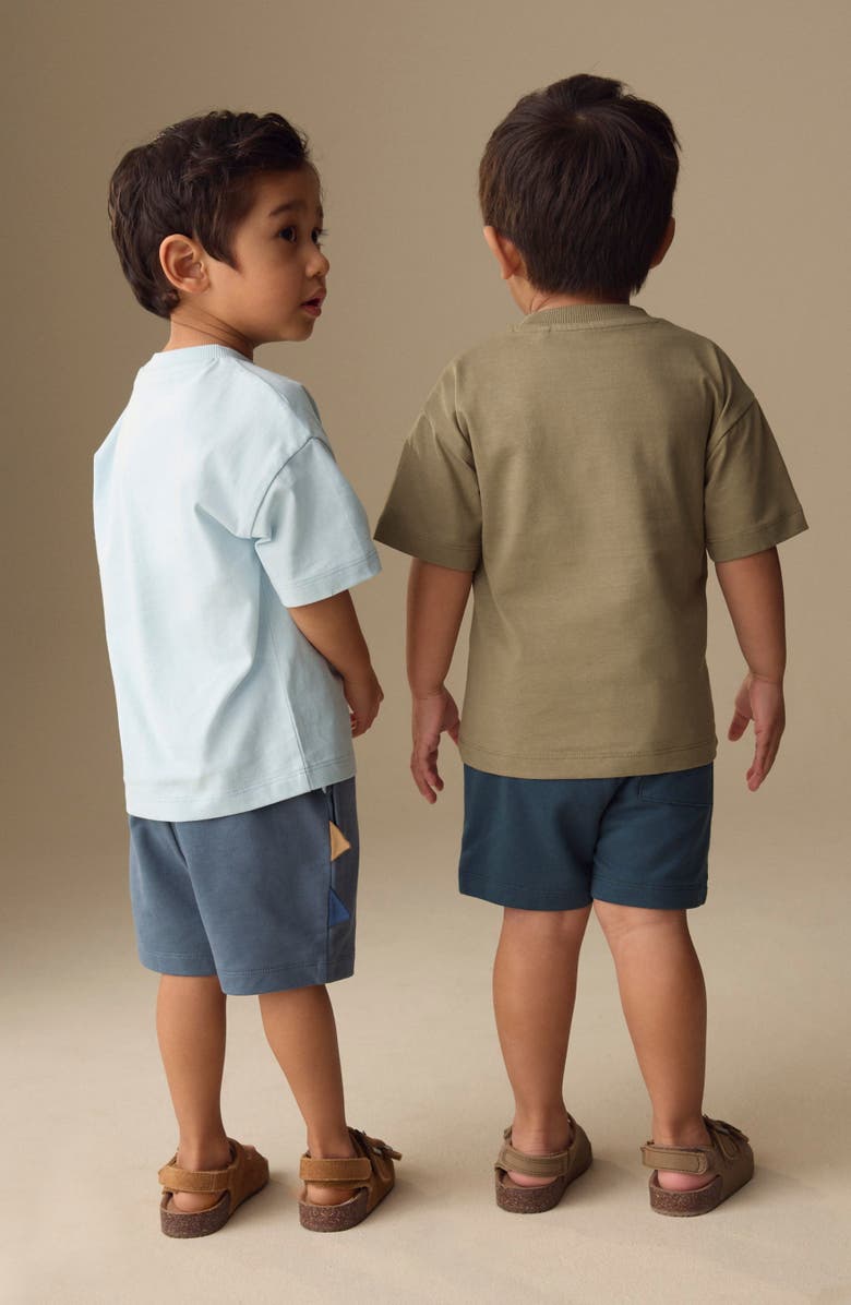 NEXT Kids' 4-Pack Dino Graphic T-Shirts & Assorted Shorts, Alternate, color, Multi