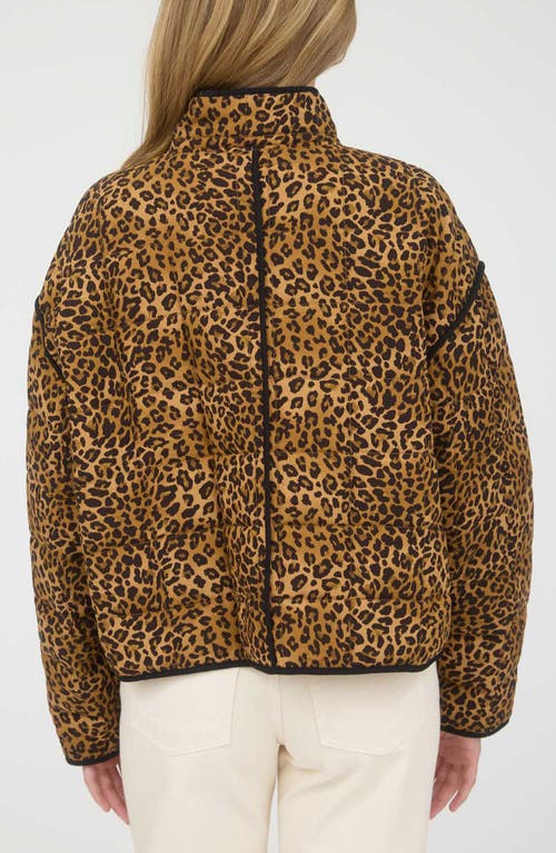Blu Pepper Leopard Print Puffer Jacket In Brown