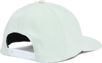 Swan Delta Snapback Cap