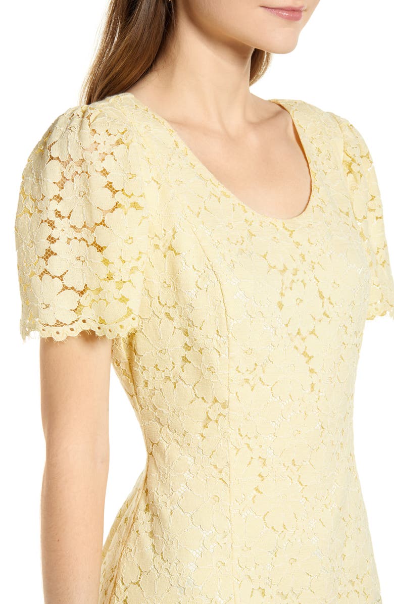 Rachel Parcell Lace Flutter Sleeve Top, Alternate, color, 