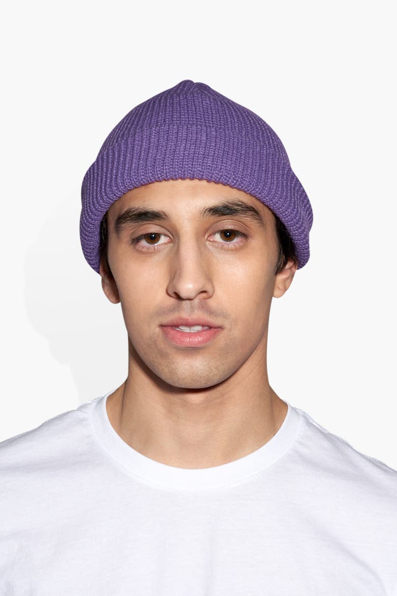 Mini Beanie, Alternate, color, purple