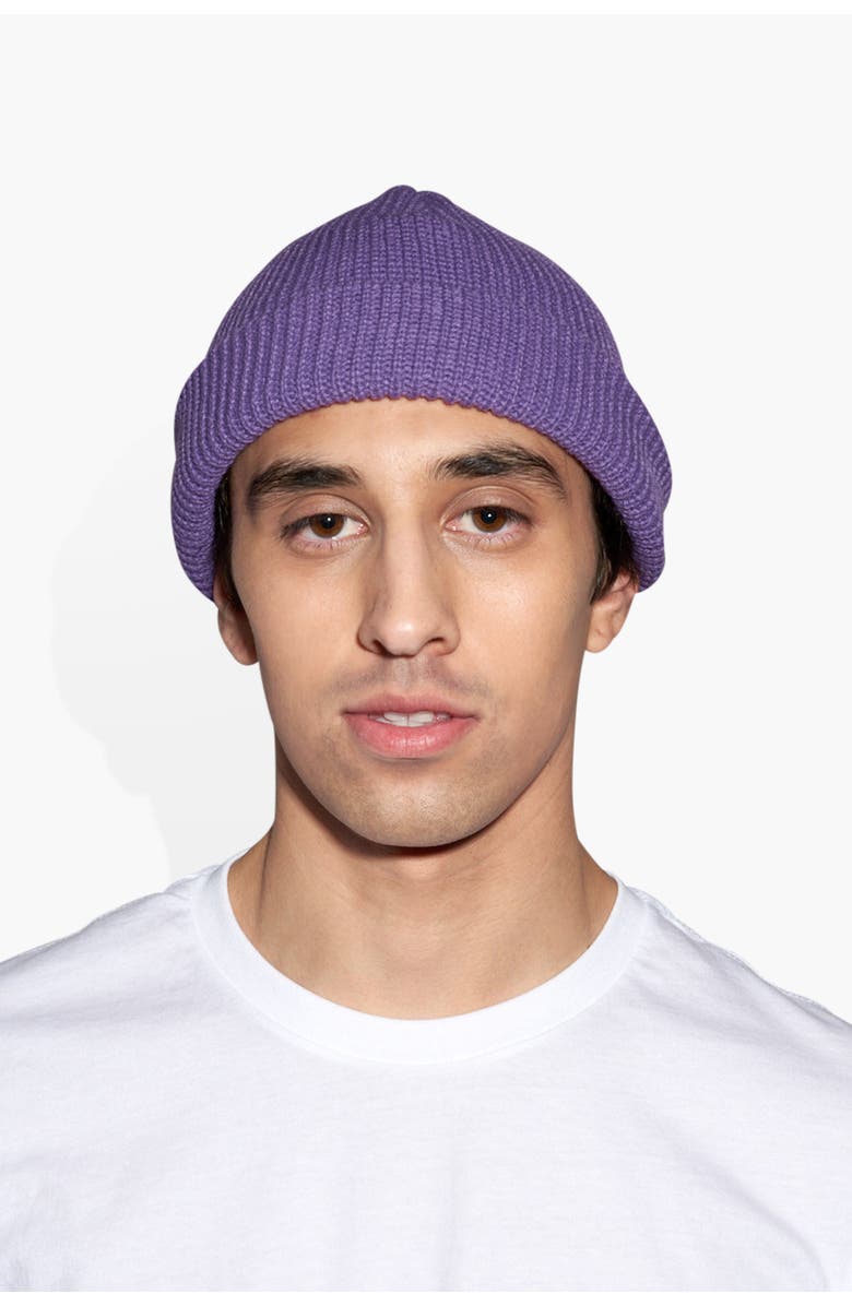 THE CELECT Mini Beanie, Alternate, color, Purple