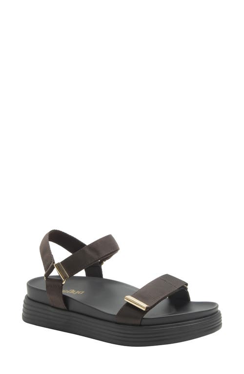 Alegria By Pg Lite Allyson Platform Sandal In Brown