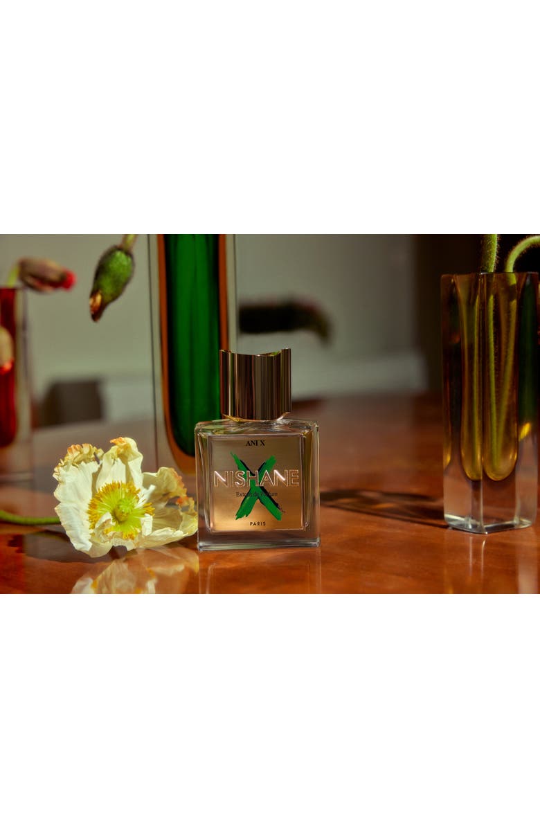 Nishane Ani X Extrait De Parfum, Alternate, color, NO COLOR