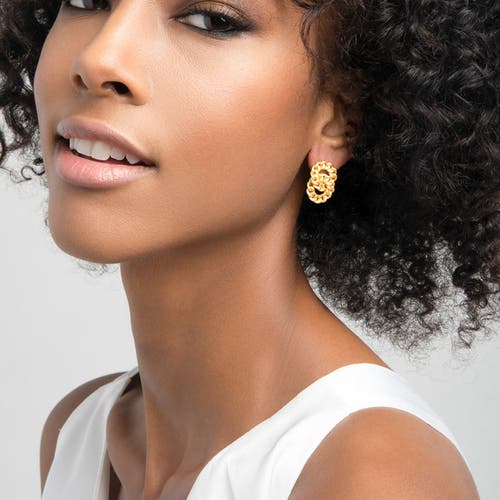 Zarux Twin Circle Earrings In Gold