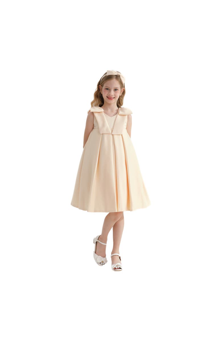 Tulleen Palermo Dress, Main, color, Champagne