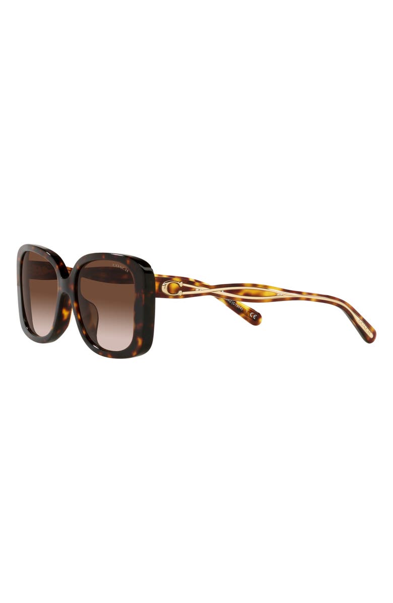 COACH 53mm Square Sunglasses, Alternate, color, Dk Tort