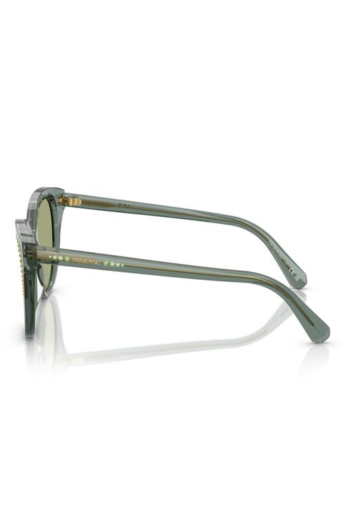 Swarovski 53mm Butterfly Sunglasses In Transparent Green/dark Green