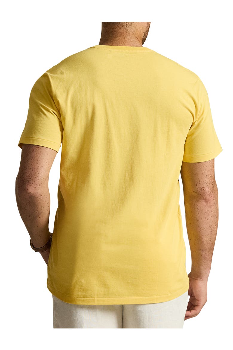 Big & Tall Classic Fit Jersey Crewneck Pocket Tee, Alternate, color, SUNFISH YELLOW